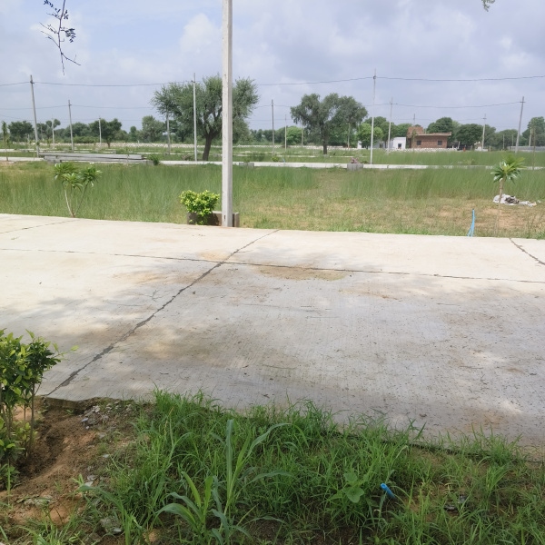  Residential Plot 100 Sq. Yards for Sale in Reengus, Sikar