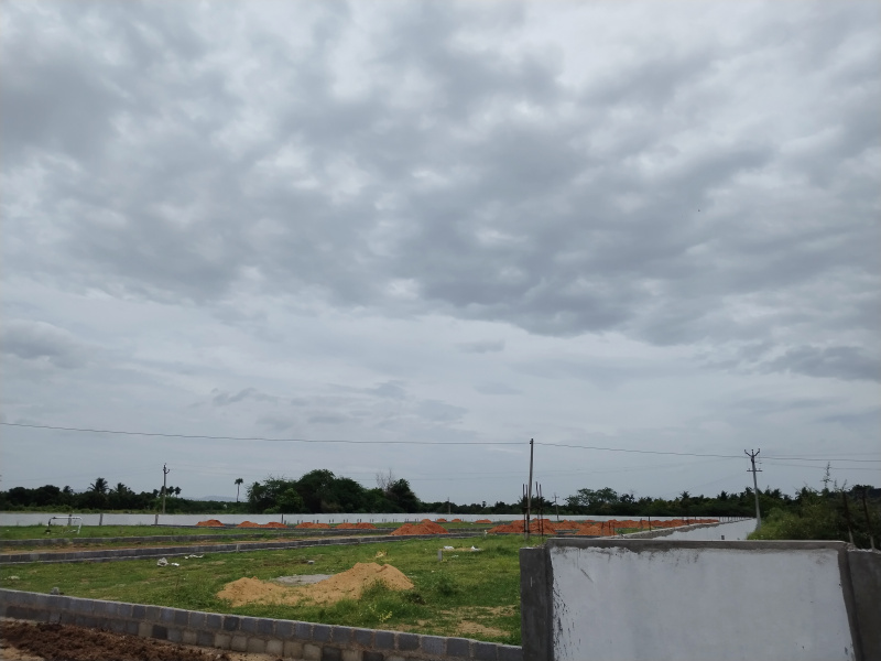  Residential Plot 1800 Sq.ft. for Sale in Ramachandrapuram, Tirupati