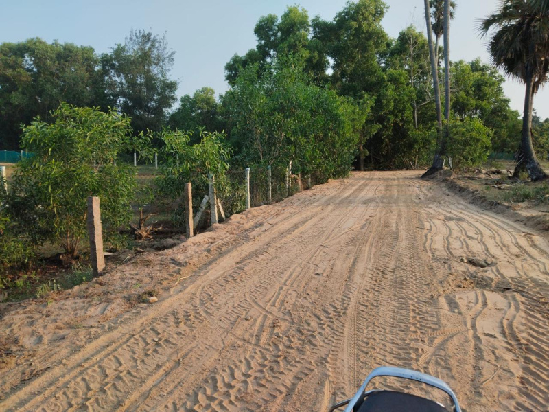  Residential Plot 130 Cent for Sale in Cheyyur, Chengalpattu