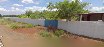  Agricultural Land for Sale in Gandarvakottai, Pudukkottai