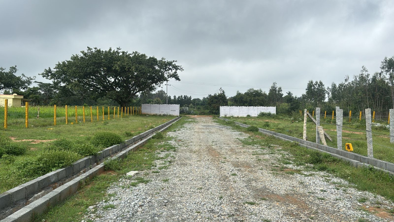  Residential Plot 1400 Sq.ft. for Sale in Hoskote Malur Road, Bangalore