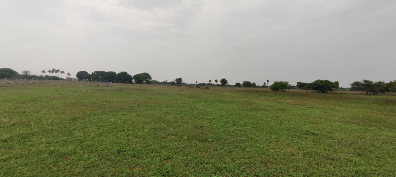  Residential Plot 1020 Sq.ft. for Sale in Thanthoni, Karur