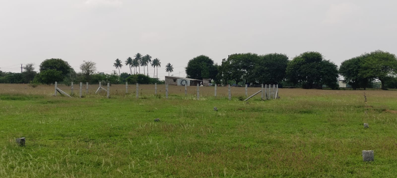  Residential Plot 1020 Sq.ft. for Sale in Thanthoni, Karur