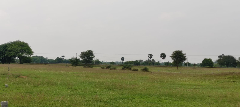  Residential Plot 1020 Sq.ft. for Sale in Thanthoni, Karur