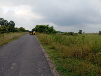  Residential Plot for Sale in Acharapakkam, Chengalpattu