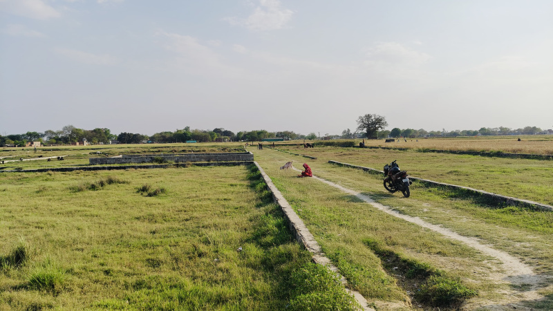  Residential Plot 1000 Sq.ft. for Sale in Baragaon, Varanasi