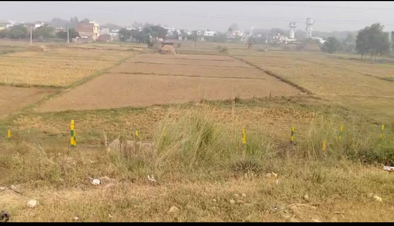  Residential Plot 90 Marla for Sale in Gandhi Nagar, Jammu