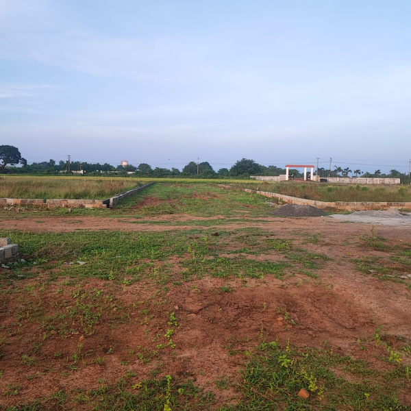  Residential Plot 150 Sq.ft. for Sale in Gannavaram, Vijayawada