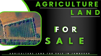  Agricultural Land for Sale in Jambusar, Bharuch