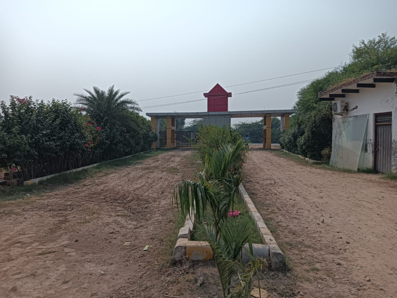  Residential Plot 100 Sq.ft. for Sale in Barsana, Mathura