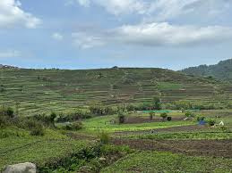  Residential Plot for Sale in Vilpatti, Kodaikanal