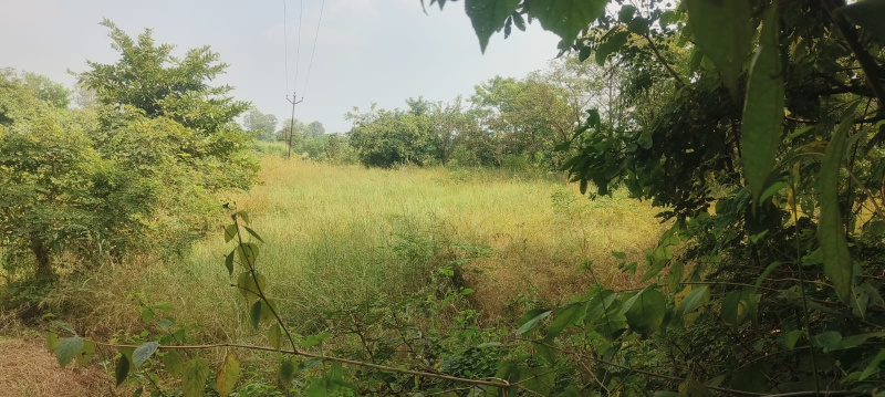  Agricultural Land 52 Guntha for Sale in Wai, Satara