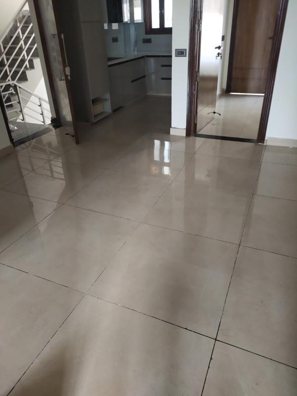 2.5 BHK Apartment 1856 Sq.ft. for Rent in Sector 14 Bahadurgarh