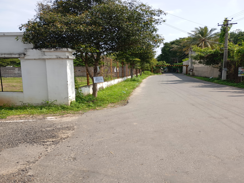  Residential Plot 1350 Sq.ft. for Sale in Periyanaickenpalayam, Coimbatore