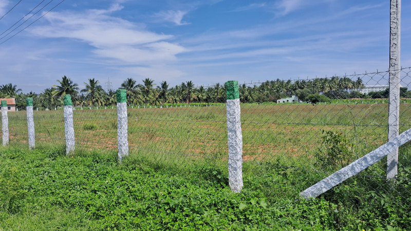  Agricultural Land 3 Acre for Sale in Pattanam Pudur, Coimbatore