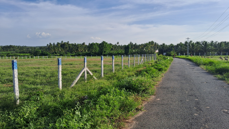  Agricultural Land 3 Acre for Sale in Pattanam Pudur, Coimbatore