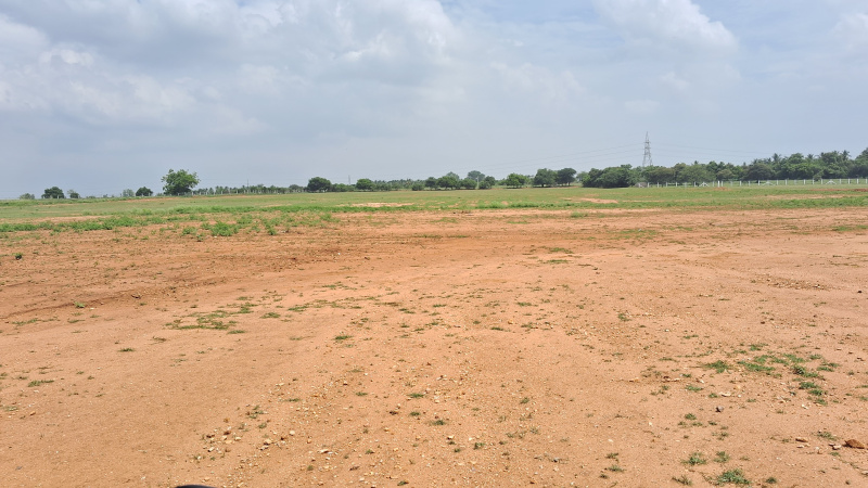  Agricultural Land 3 Acre for Sale in Karumathampatti, Coimbatore