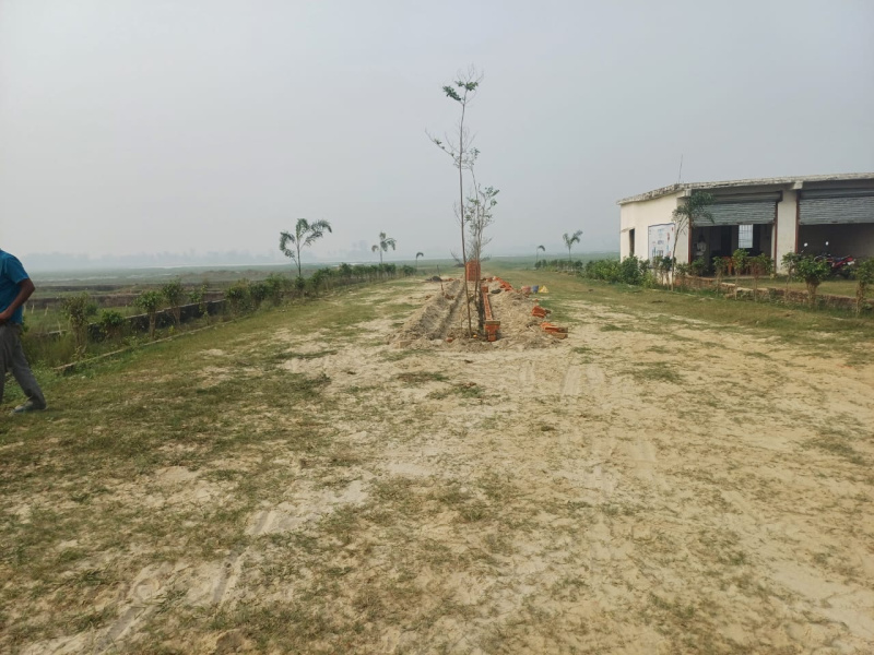  Residential Plot 1000 Sq.ft. for Sale in Jangal Kauria, Gorakhpur