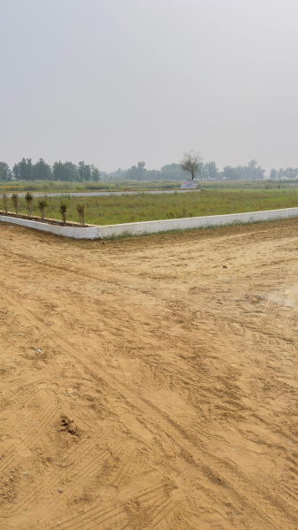  Residential Plot 1000 Sq.ft. for Sale in Sukrauli, Kushinagar