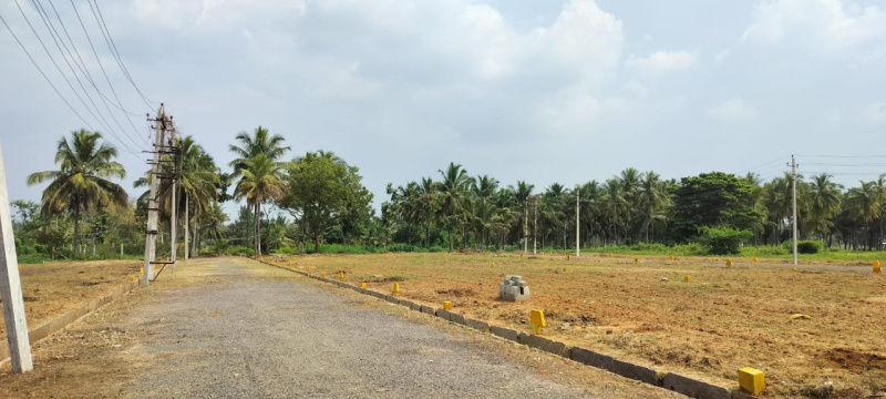  Residential Plot 1200 Sq.ft. for Sale in Maddur, Mandya