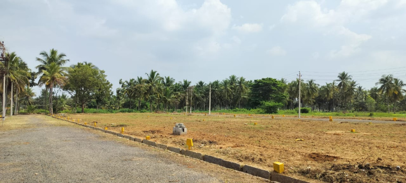  Residential Plot 1200 Sq.ft. for Sale in Maddur, Mandya