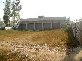  Commercial Land for Sale in Chohal, Hoshiarpur