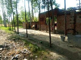 2 BHK Farm House for Sale in Dasua, Hoshiarpur