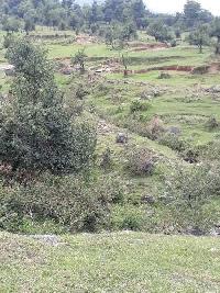  Agricultural Land for Sale in Palampur, Palampur