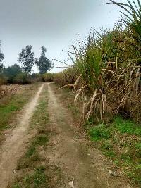  Agricultural Land for Sale in Dasua, Hoshiarpur