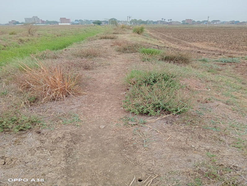  Residential Plot 4083 Sq.ft. for Sale in Shivala Par, Patna