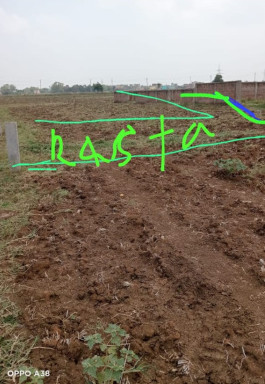  4083 Sq.ft. Residential Plot for Sale in Shivala Par, Patna