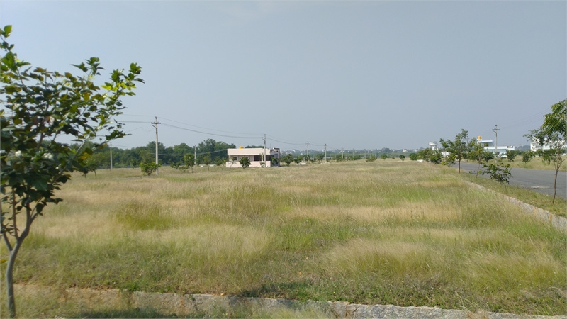  Residential Plot 1500 Sq.ft. for Sale in Hindupur, Anantapur