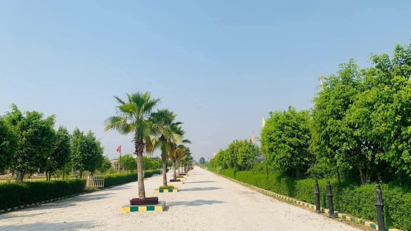  Residential Plot 1000 Sq.ft. for Sale in Faizabad Road, Lucknow