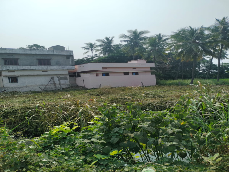  Residential Plot 480 Sq. Yards for Sale in Tanuku, West Godavari