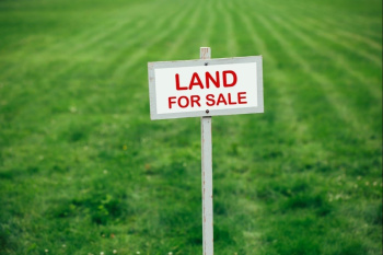  Agricultural Land for Sale in Ujwa, Najafgarh, Delhi