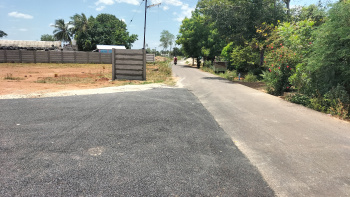  Residential Plot for Sale in Thirukanurpatti, Thanjavur