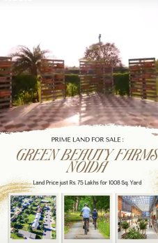  Residential Plot for Sale in Sector 135 Noida