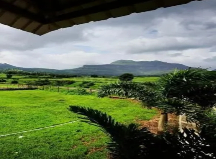  Agricultural Land 10000 Sq.ft. for Sale in Trimbakeshwar, Nashik