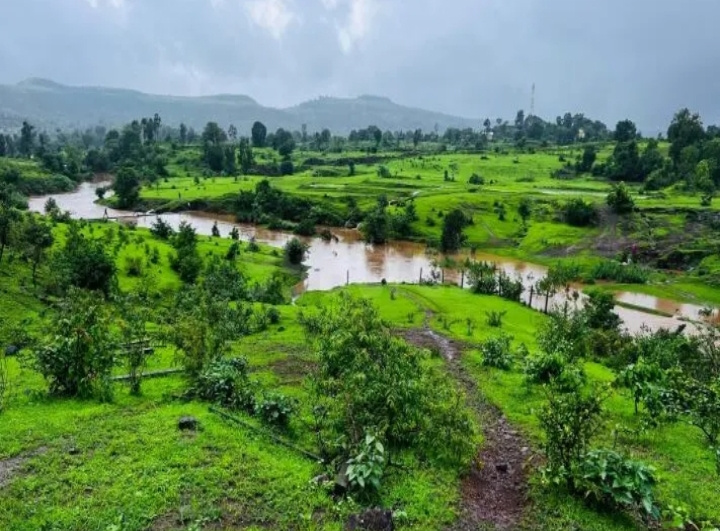  Agricultural Land 10000 Sq.ft. for Sale in Trimbakeshwar, Nashik