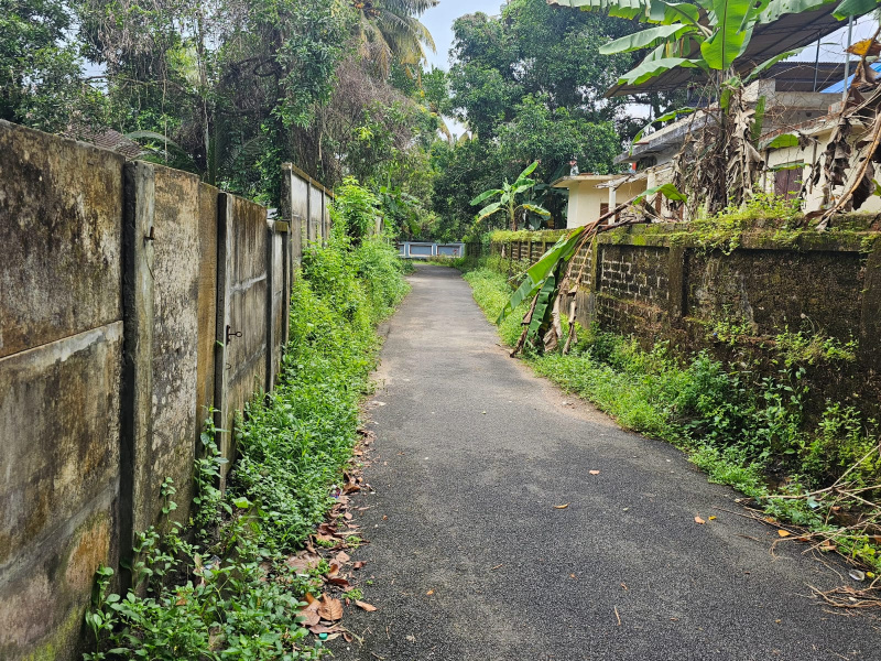  Residential Plot 10 Cent for Sale in Irinjalakuda, Thrissur