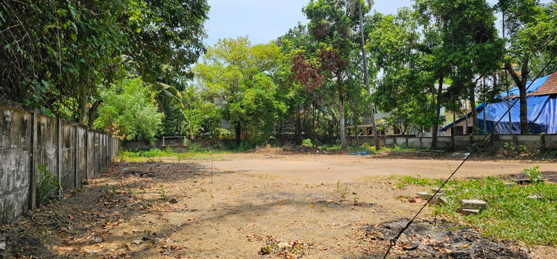  Residential Plot 10 Cent for Sale in Irinjalakuda, Thrissur