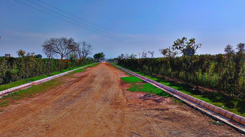  Residential Plot for Sale in Nagalia, Palwal