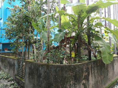  Residential Plot 1170 Sq.ft. for Sale in Subhas Pally, Burdwan, Kolkata