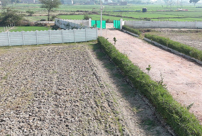  Residential Plot 100 Sq. Yards for Sale in Jewar, Gautam Buddha Nagar