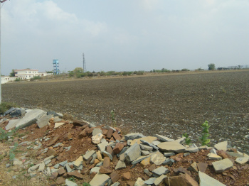  Residential Plot for Sale in Chennekothapalli, Anantapur