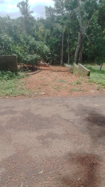  Residential Plot 13 Cent for Sale in Chottanikkara, Ernakulam