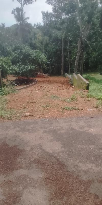  Residential Plot 13 Cent for Sale in Chottanikkara, Ernakulam