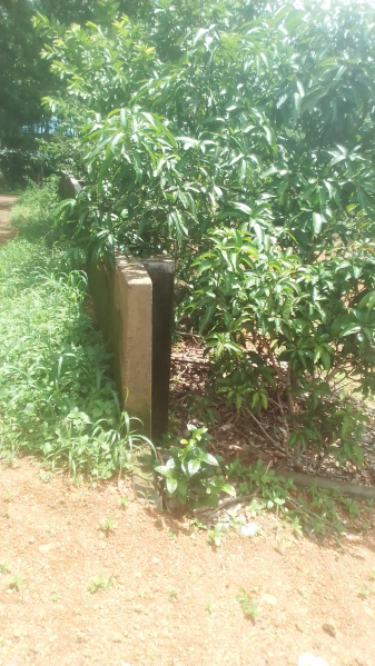  Residential Plot 15 Cent for Sale in Arakkunnam, Ernakulam