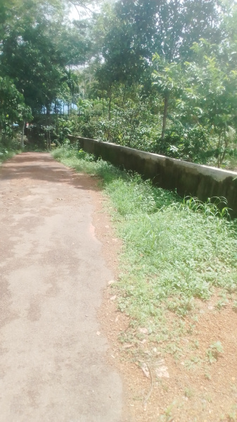 Residential Plot 15 Cent for Sale in Arakkunnam, Ernakulam