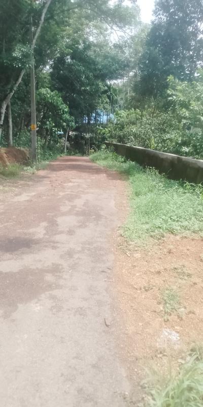  Residential Plot 15 Cent for Sale in Arakkunnam, Ernakulam